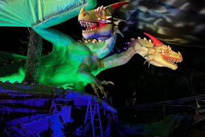 WhatsApp Image 2025-05-05 at 12.59.35